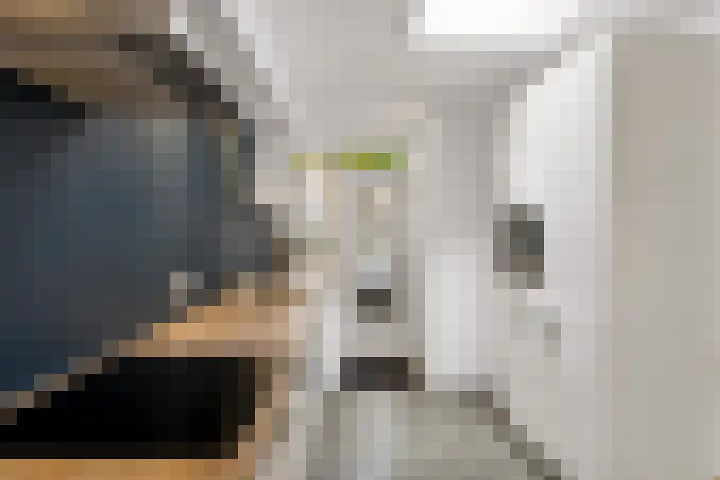 Vechtstraat 51 Zwolle thumbnail 19