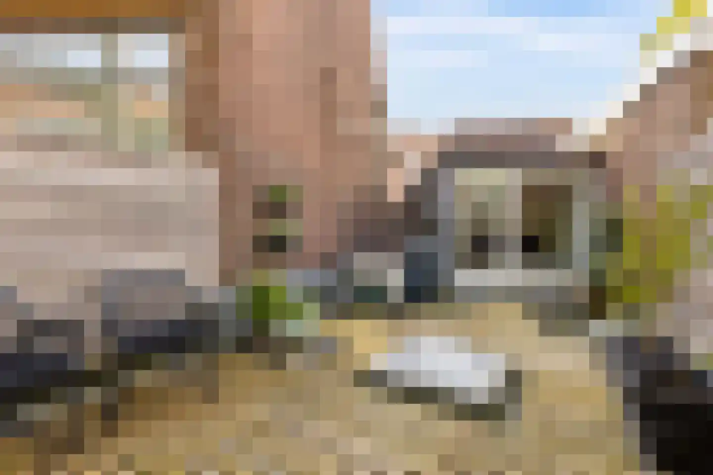 Vechtstraat 51 Zwolle thumbnail 26