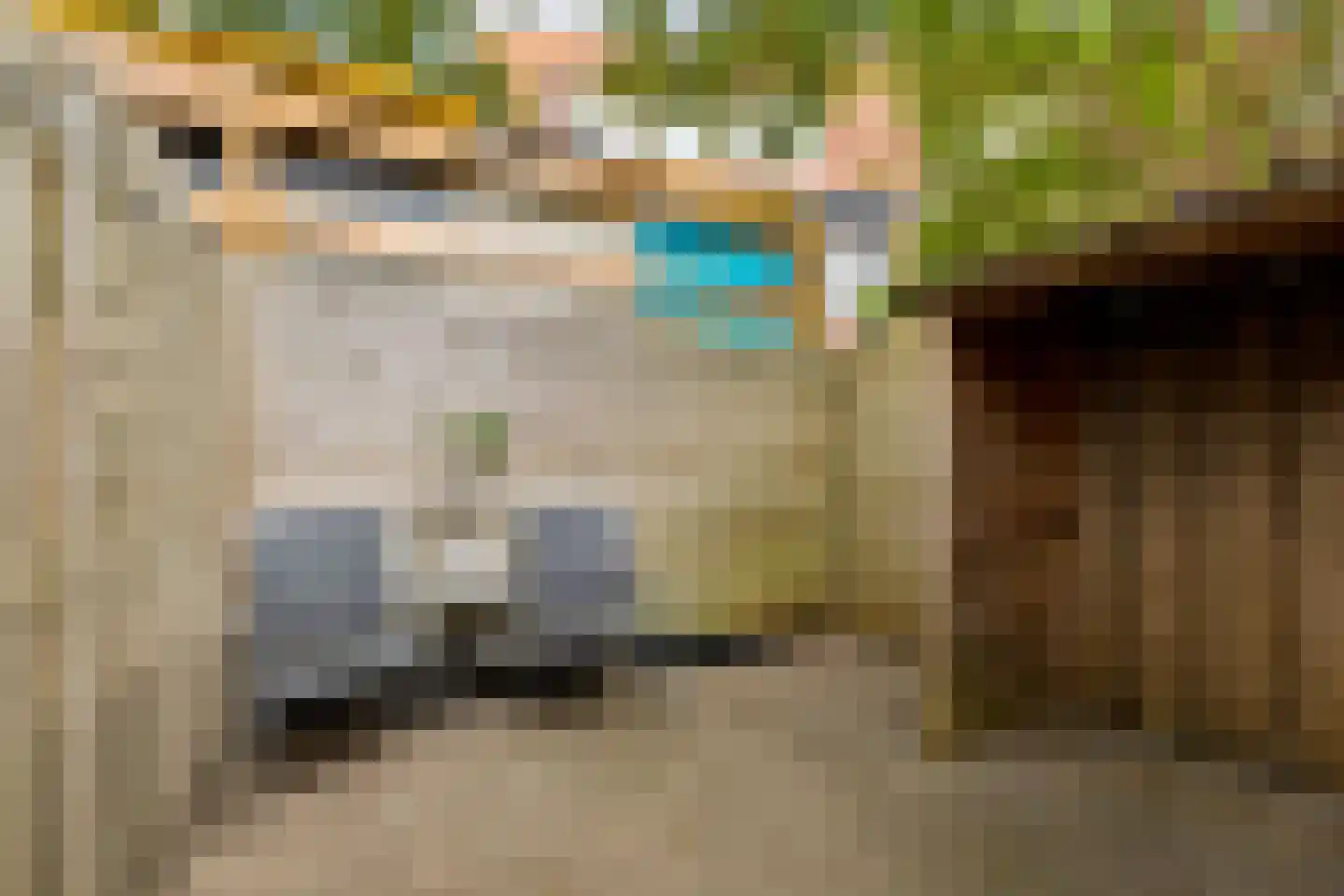 Vechtstraat 51 Zwolle thumbnail 31