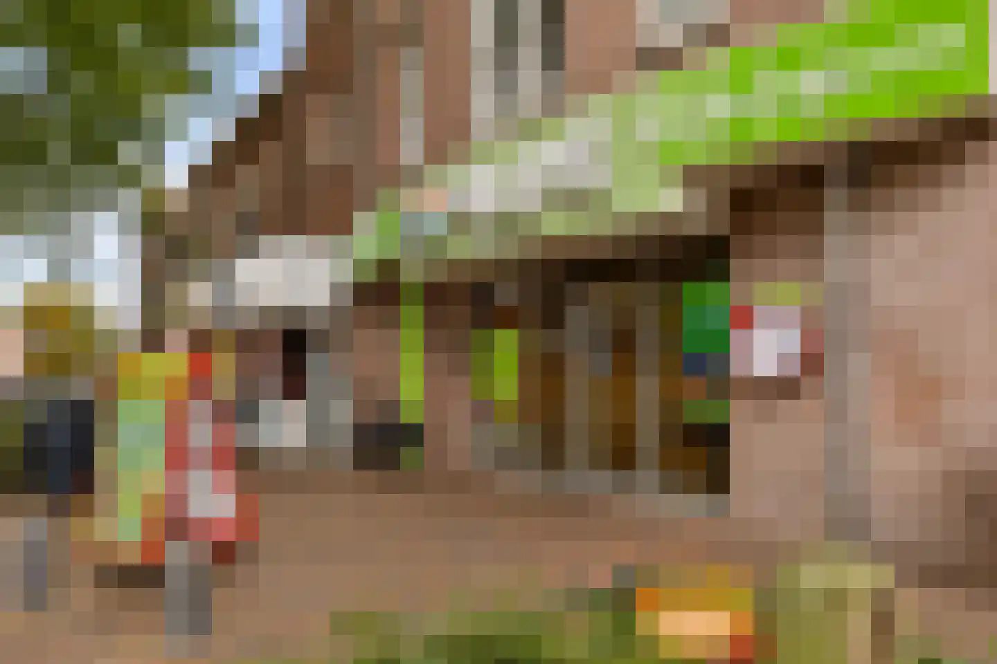 Vechtstraat 51 Zwolle thumbnail 34