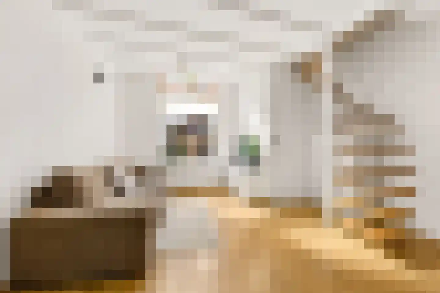 Vechtstraat 51 Zwolle thumbnail 8