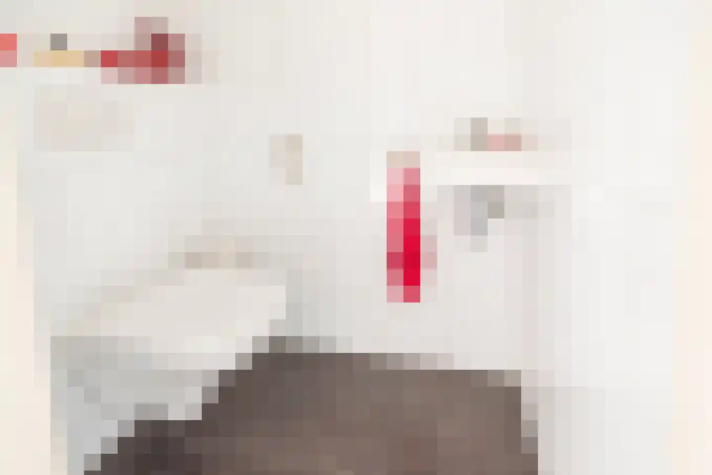 Vechtstraat 52 Ulft thumbnail 10