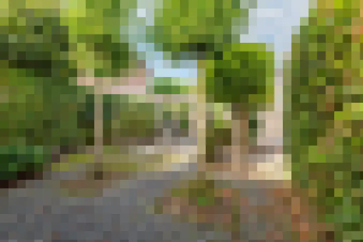 Vechtstraat 52 Ulft thumbnail 37