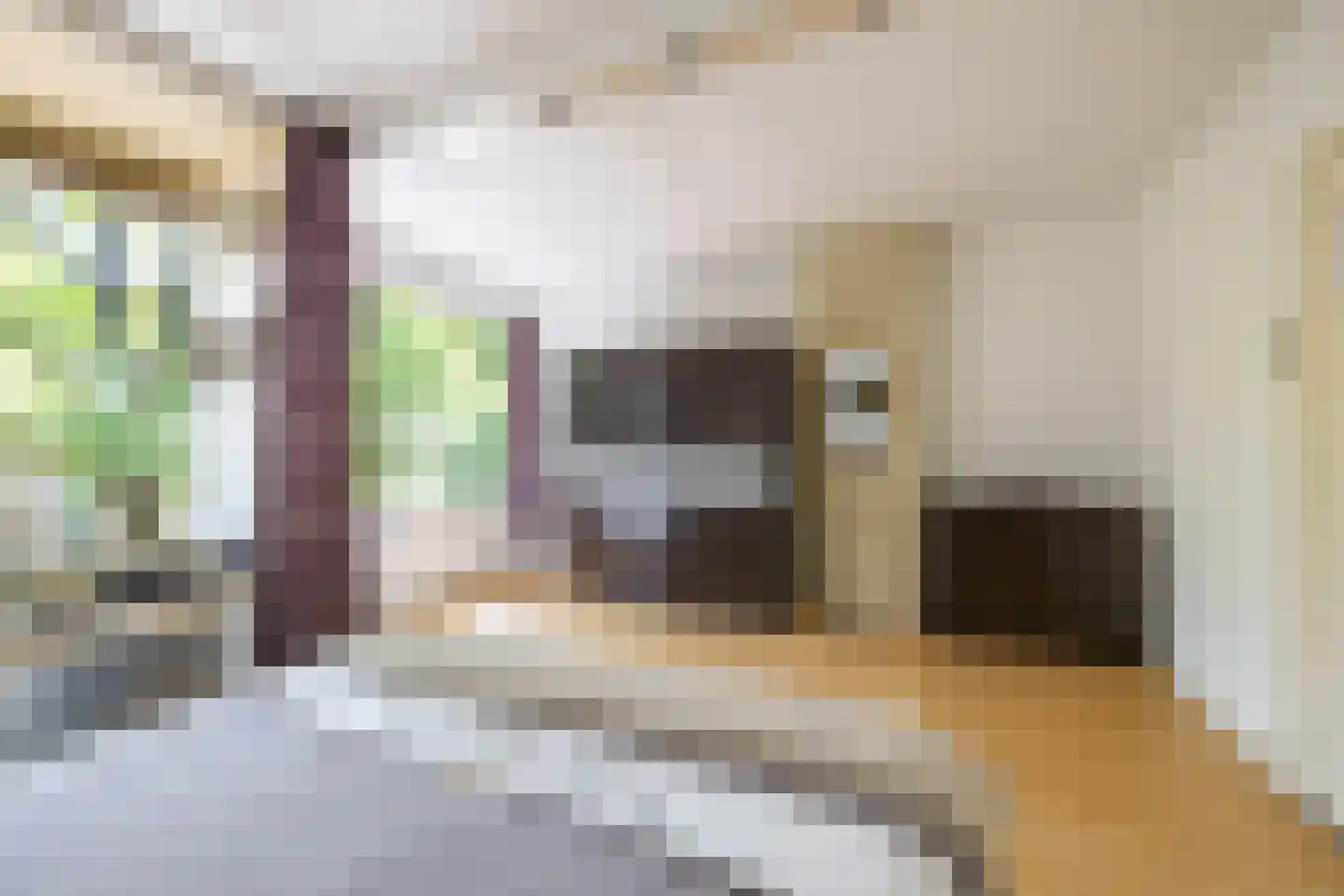 Vechtstraat 53 Groningen thumbnail 34