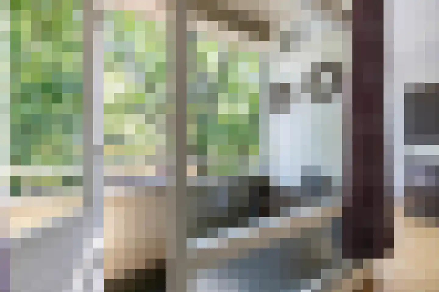 Vechtstraat 53 Groningen thumbnail 35
