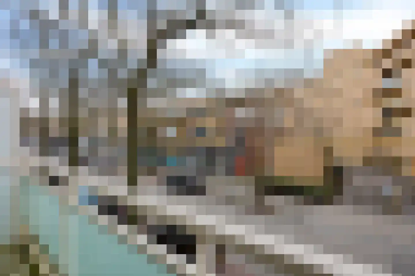 Vechtstraat 59 Groningen thumbnail 23