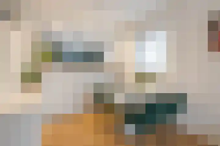 Vechtstraat 6 IJmuiden thumbnail 4