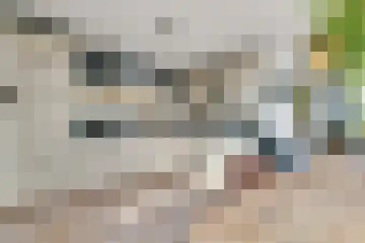 Vechtstraat 6 Nijverdal thumbnail 10