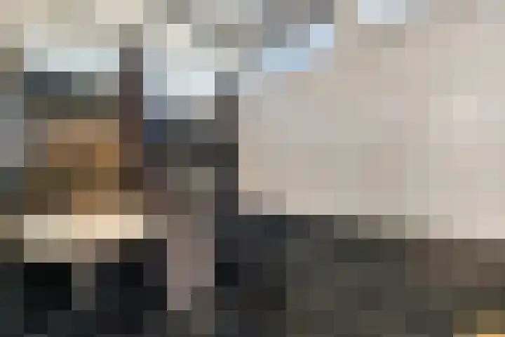 Vechtstraat 6 Nijverdal thumbnail 22