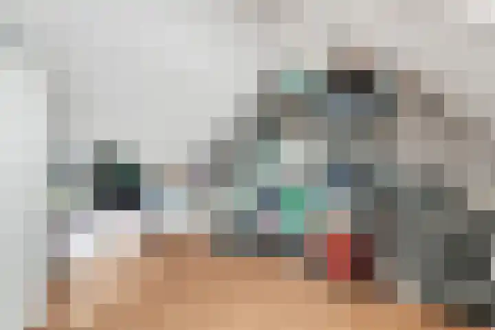 Vechtstraat 6 Nijverdal thumbnail 24