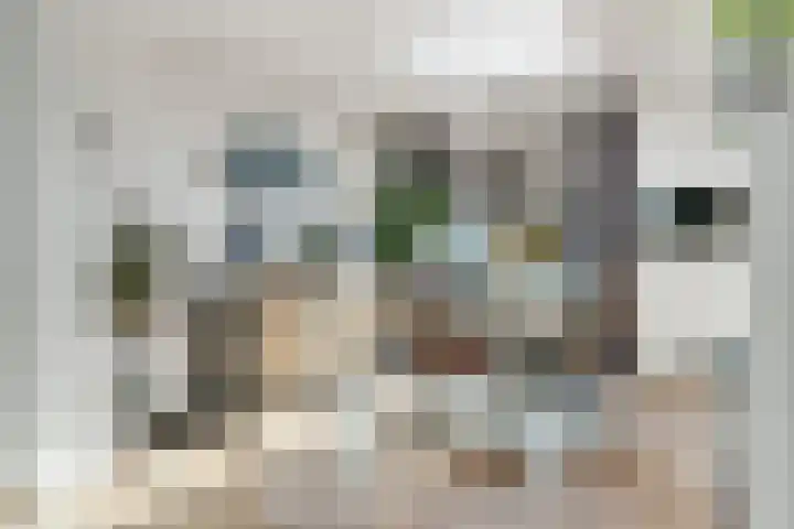 Vechtstraat 6 Nijverdal thumbnail 8