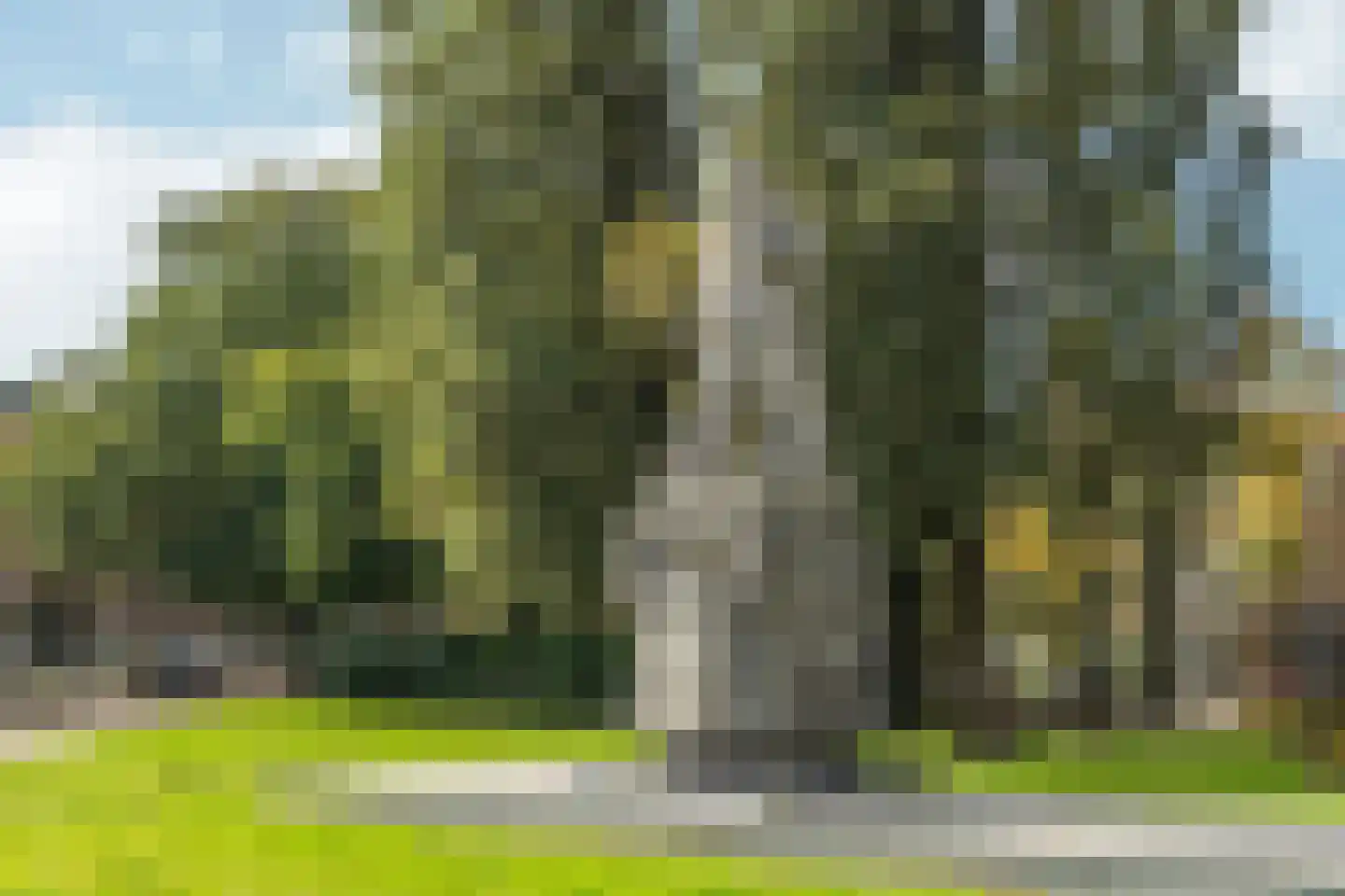 Vechtstraat 65 3 Amsterdam thumbnail 40