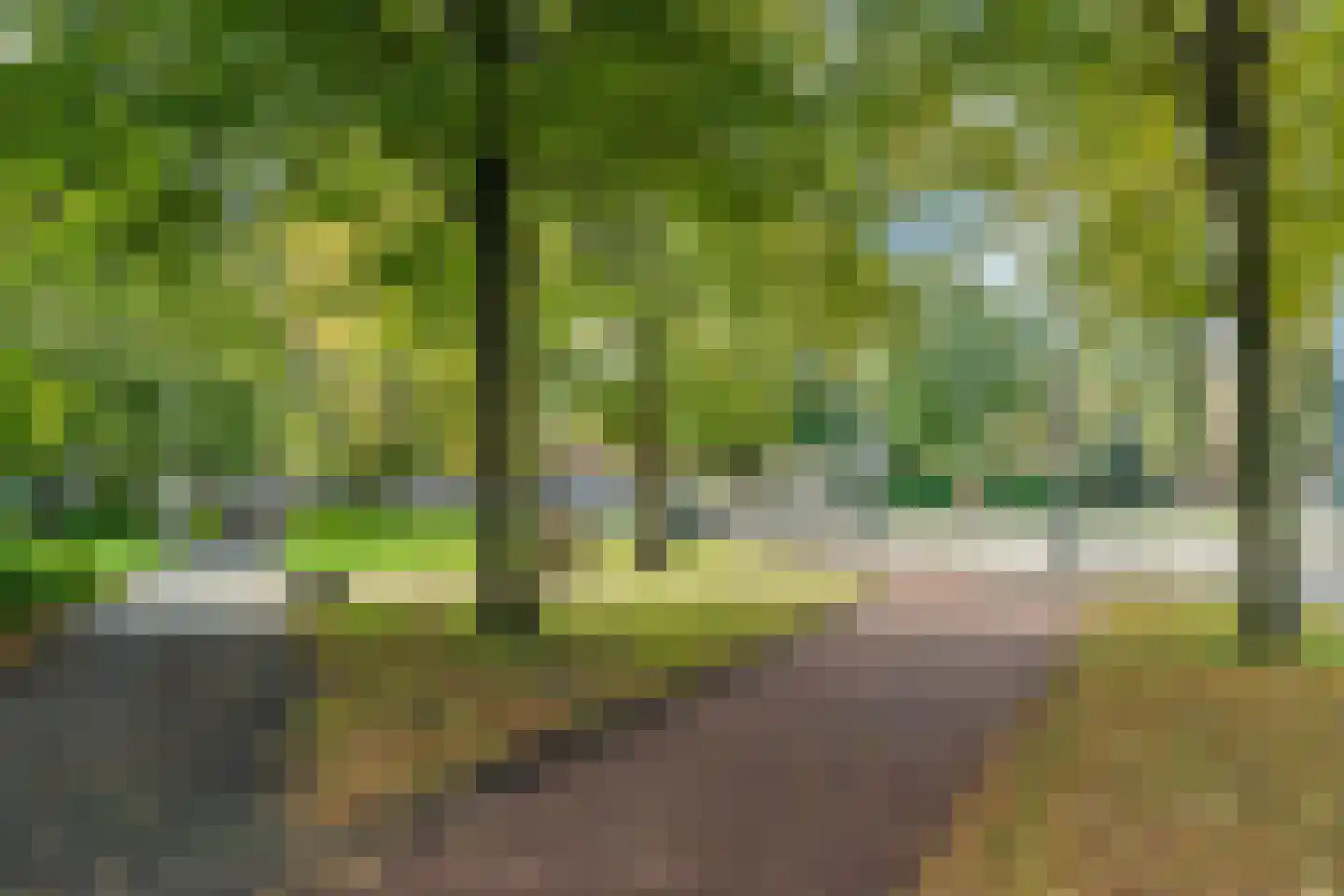 Vechtstraat 65 3 Amsterdam thumbnail 43