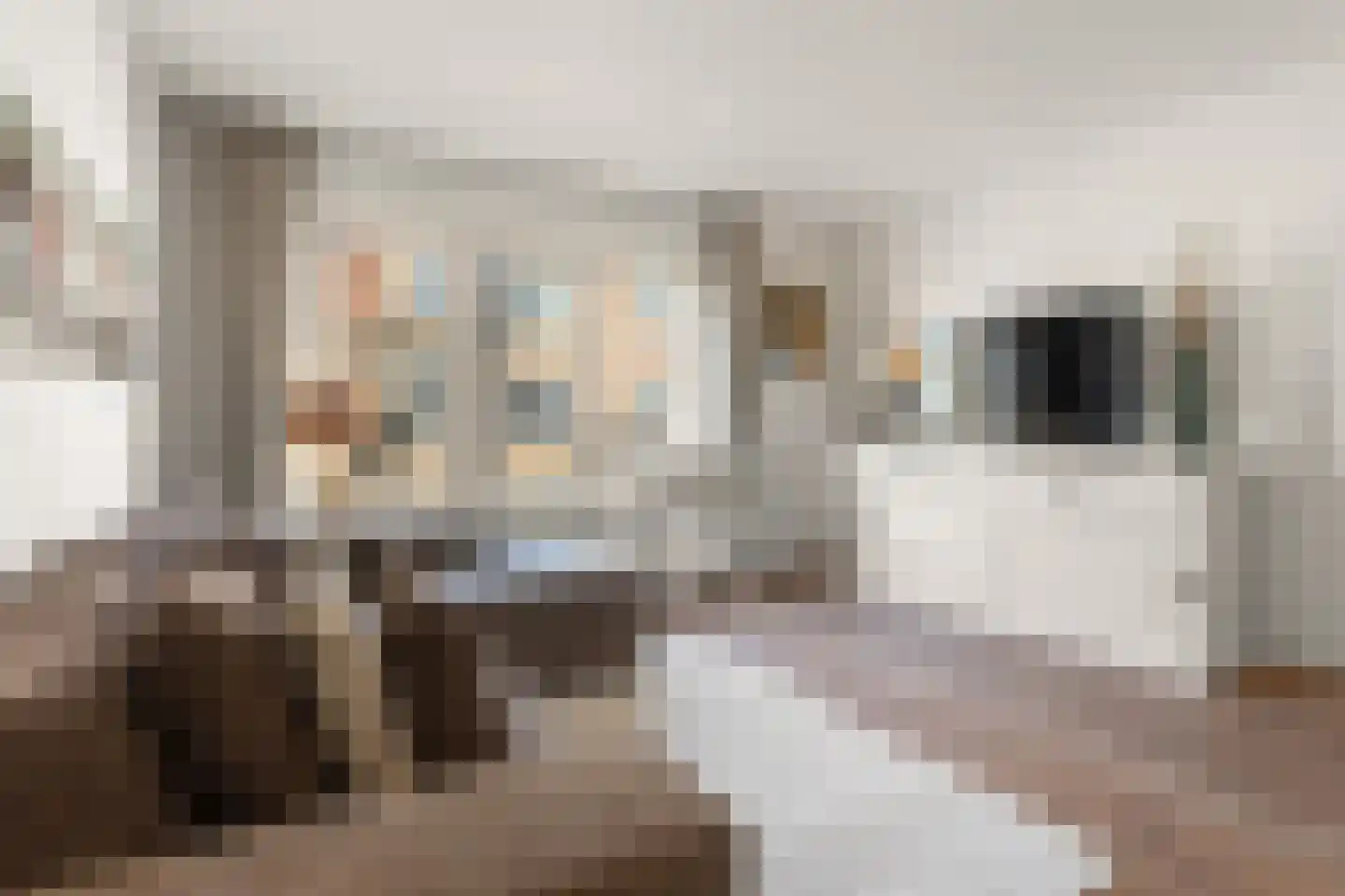 Vechtstraat 65 3 Amsterdam thumbnail 5