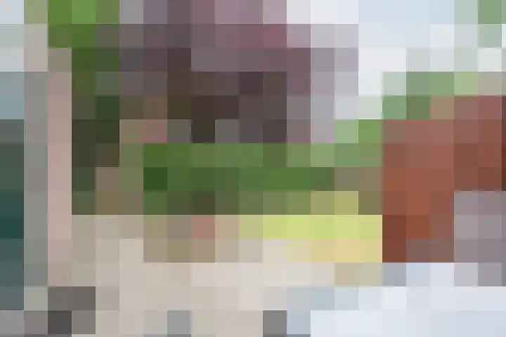 Vechtstraat 68 Ulft thumbnail 29