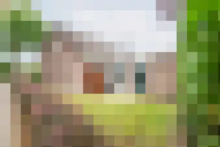 Vechtstraat 68 Ulft thumbnail 4