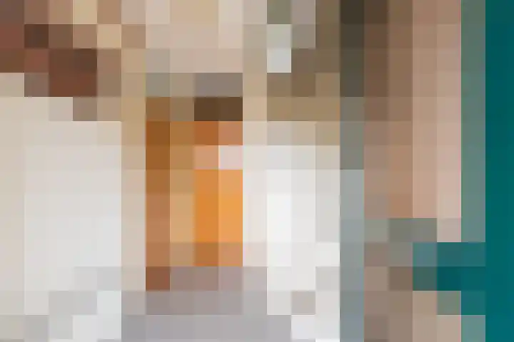 Vechtstraat 68 Ulft thumbnail 7