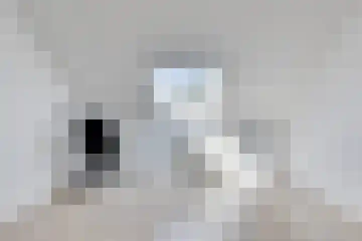 Vechtstraat 78 Ulft thumbnail 25