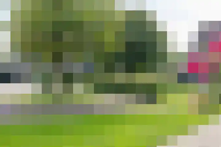 Vechtstraat 78 Ulft thumbnail 34
