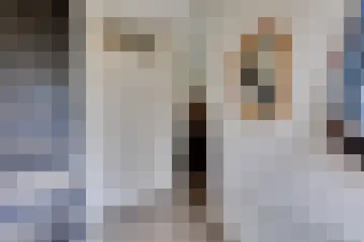 Vechtstraat 78 Ulft thumbnail 7