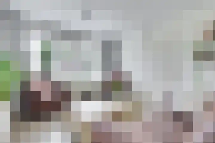 Vechtstraat 78 Ulft thumbnail 8