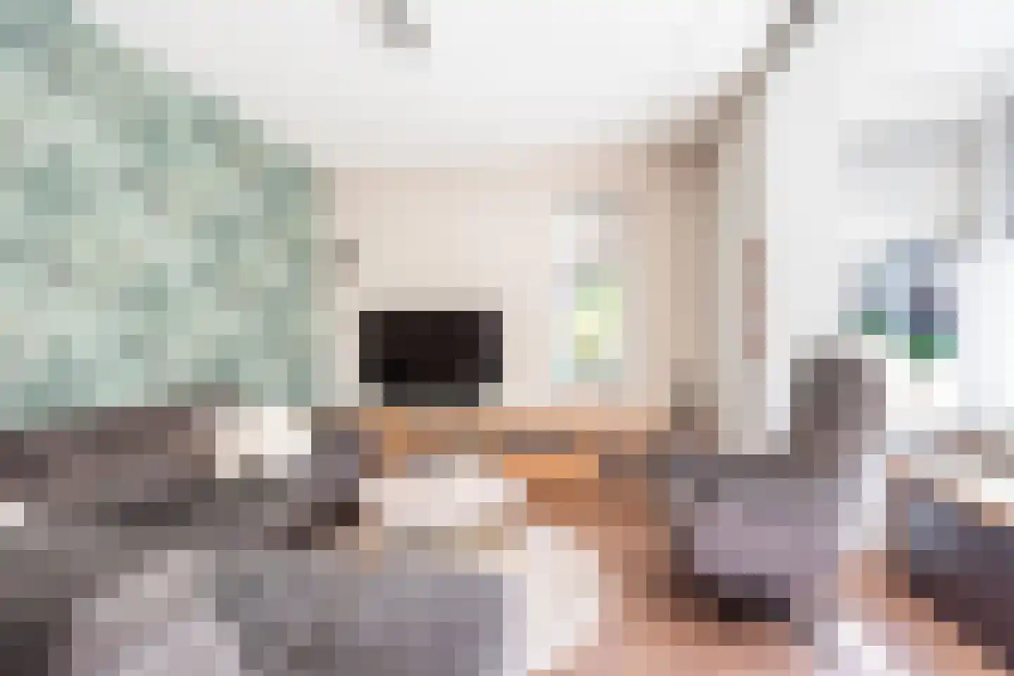 Vechtstraat 8 A Ulft thumbnail 12
