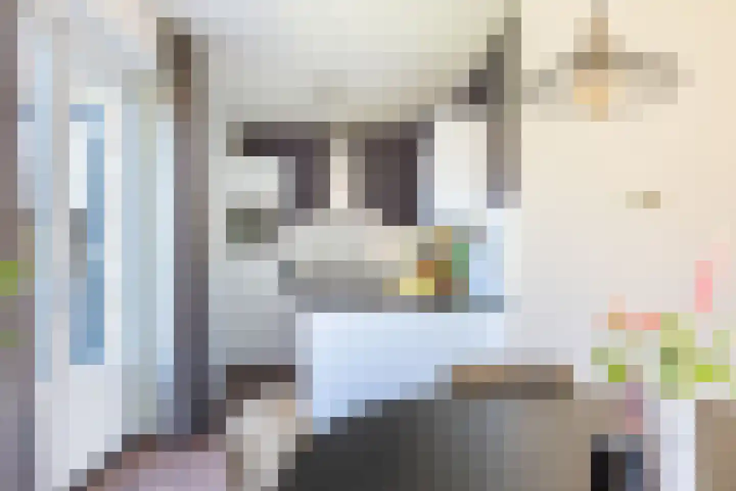 Vechtstraat 8 A Ulft thumbnail 16