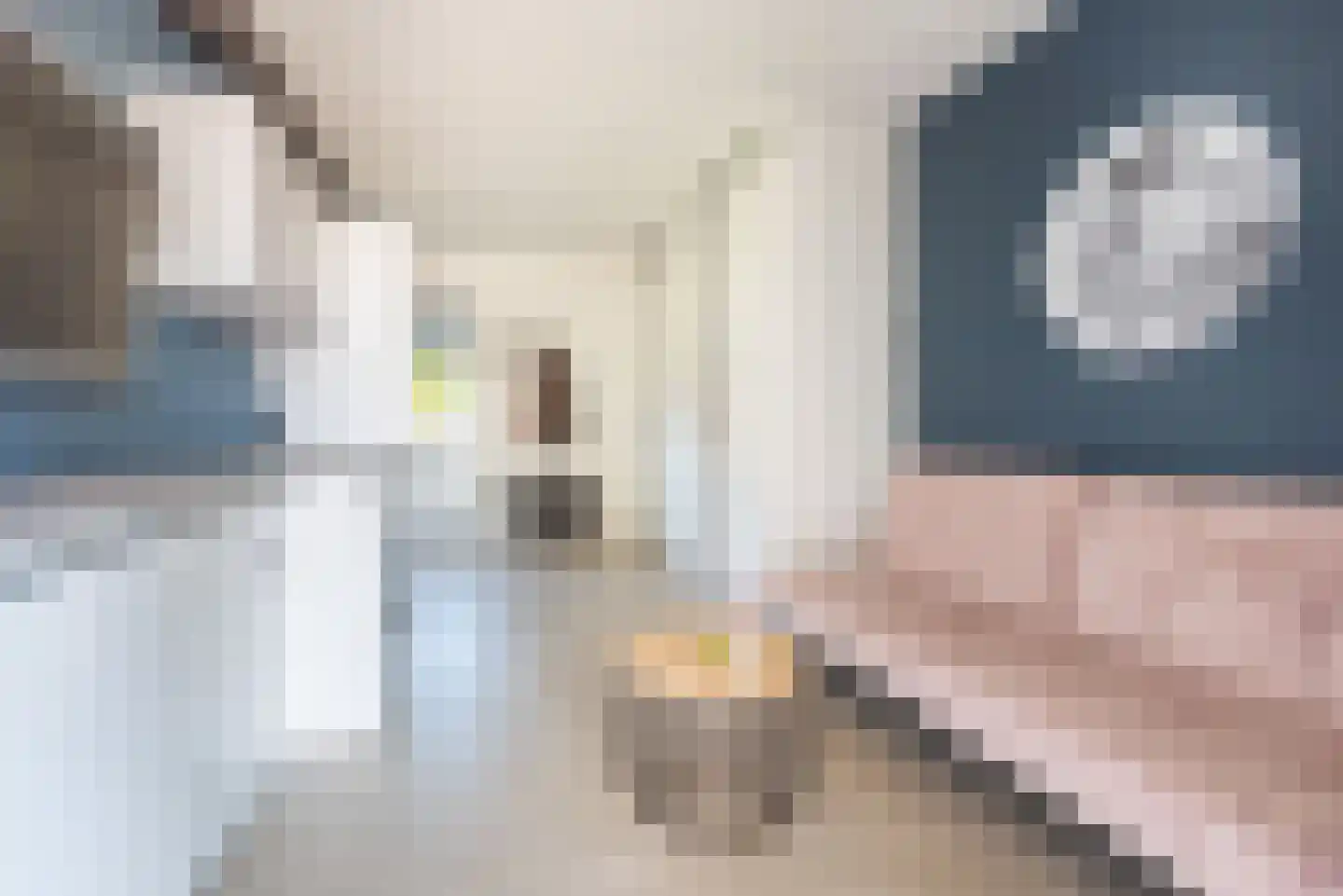 Vechtstraat 8 A Ulft thumbnail 21