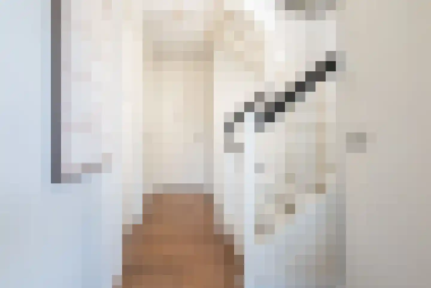 Vechtstraat 8 A Ulft thumbnail 24