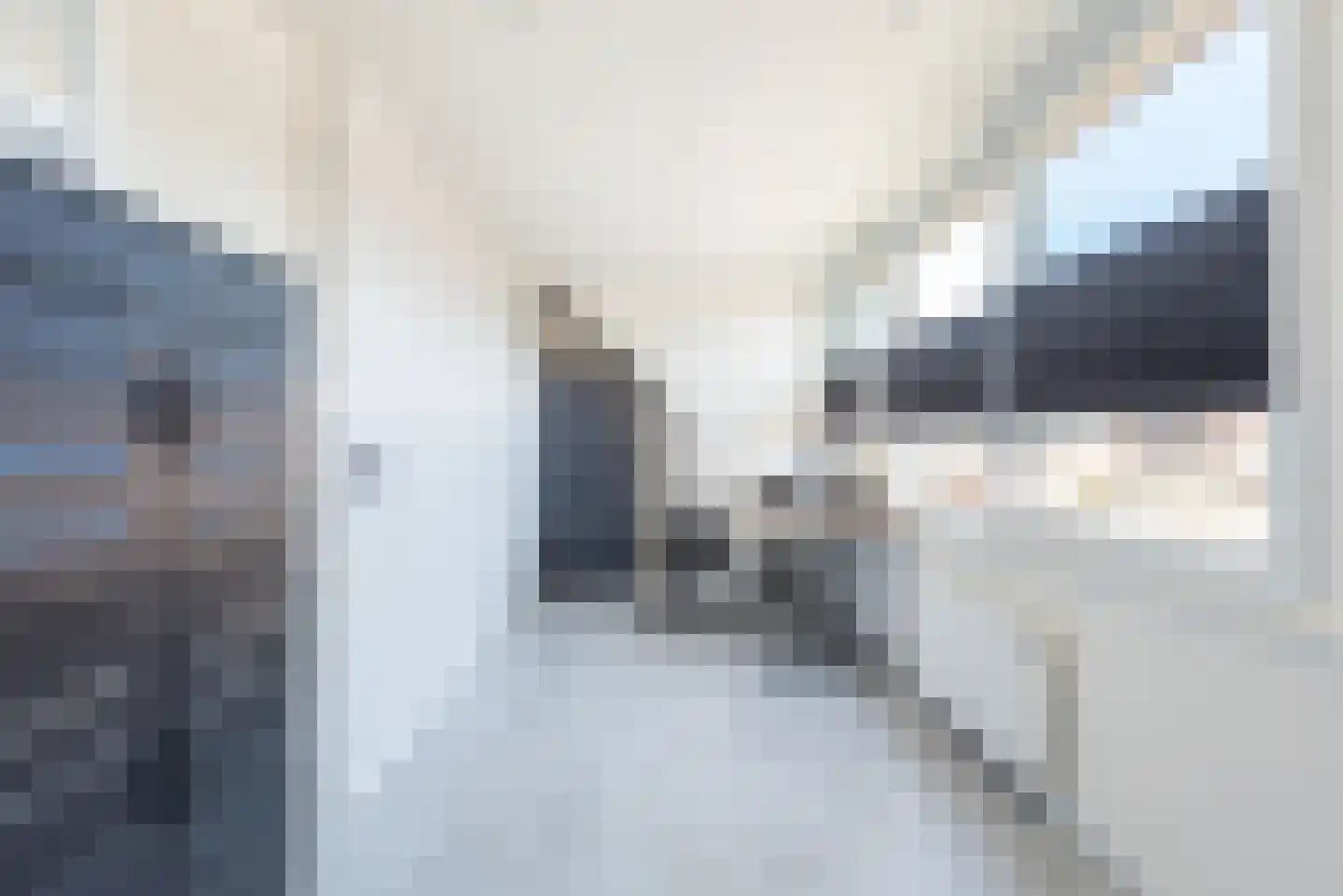 Vechtstraat 8 A Ulft thumbnail 36