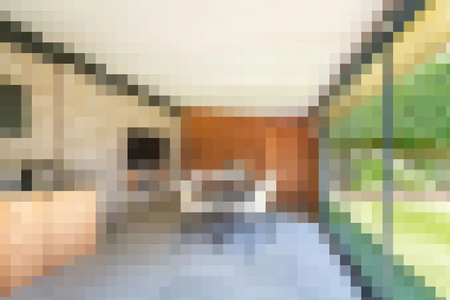 Vechtstraat 8 A Ulft thumbnail 46
