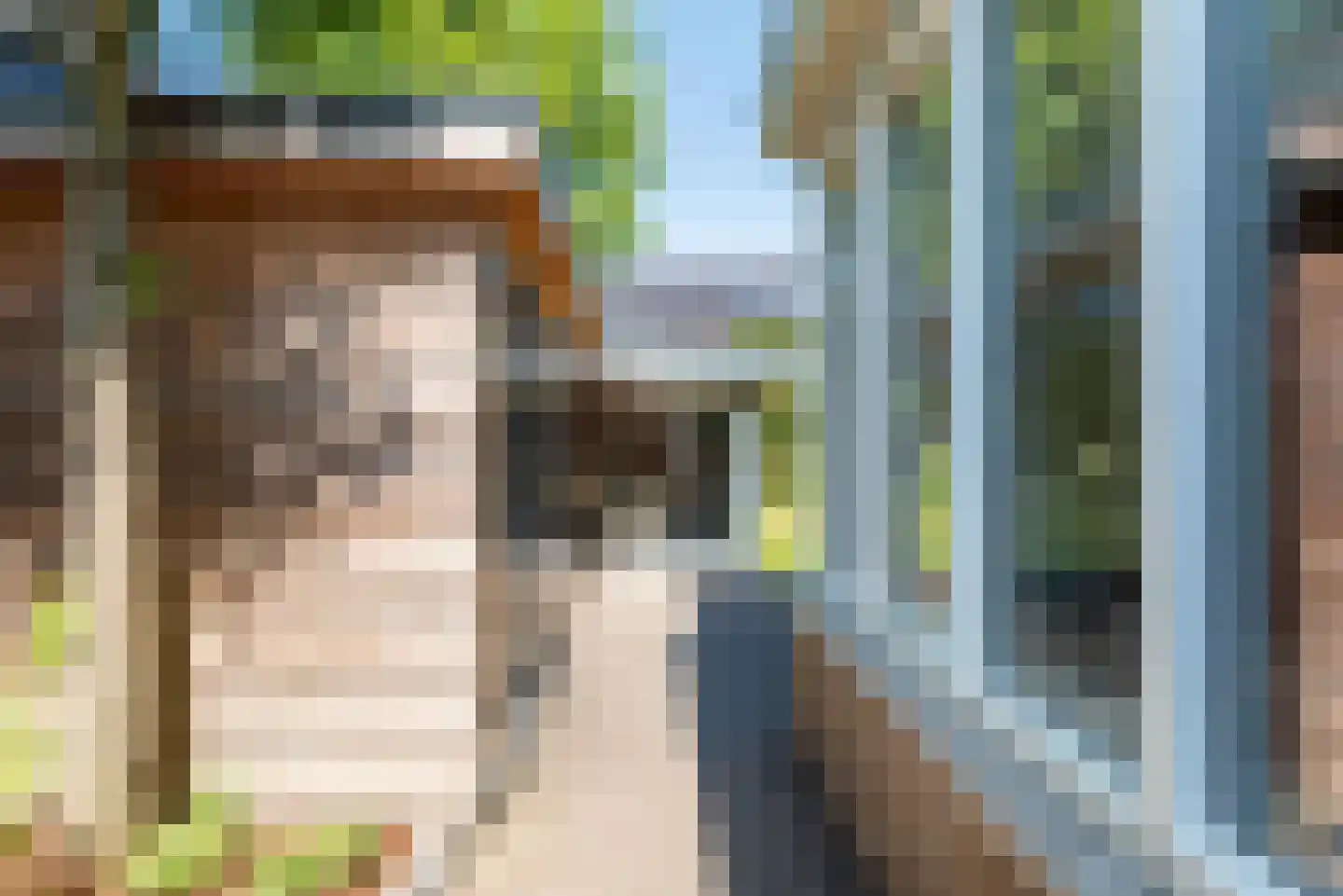 Vechtstraat 8 A Ulft thumbnail 49