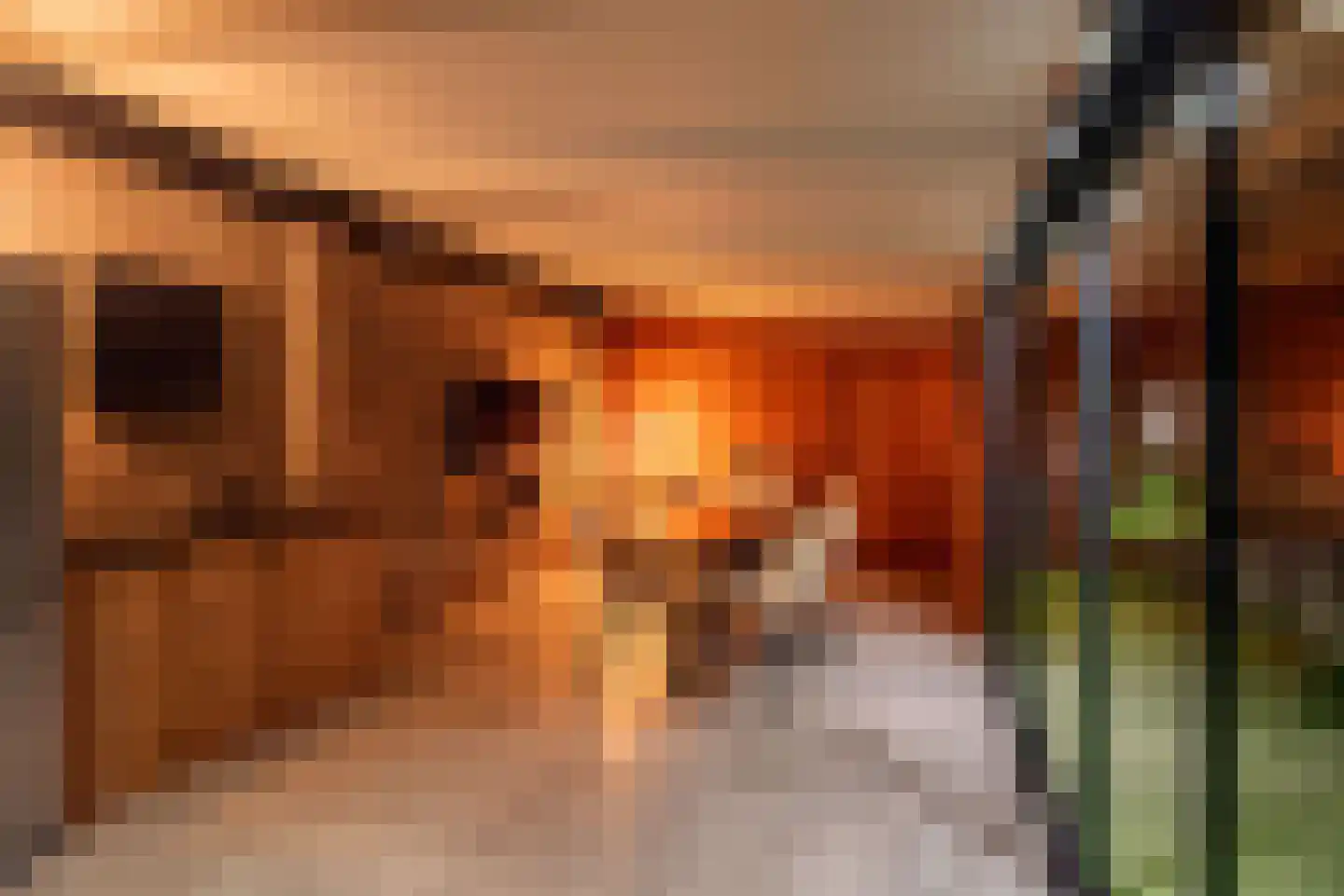 Vechtstraat 8 A Ulft thumbnail 60