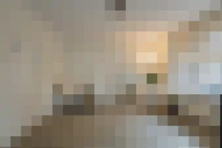 Vechtstraat 8 IJmuiden thumbnail 8