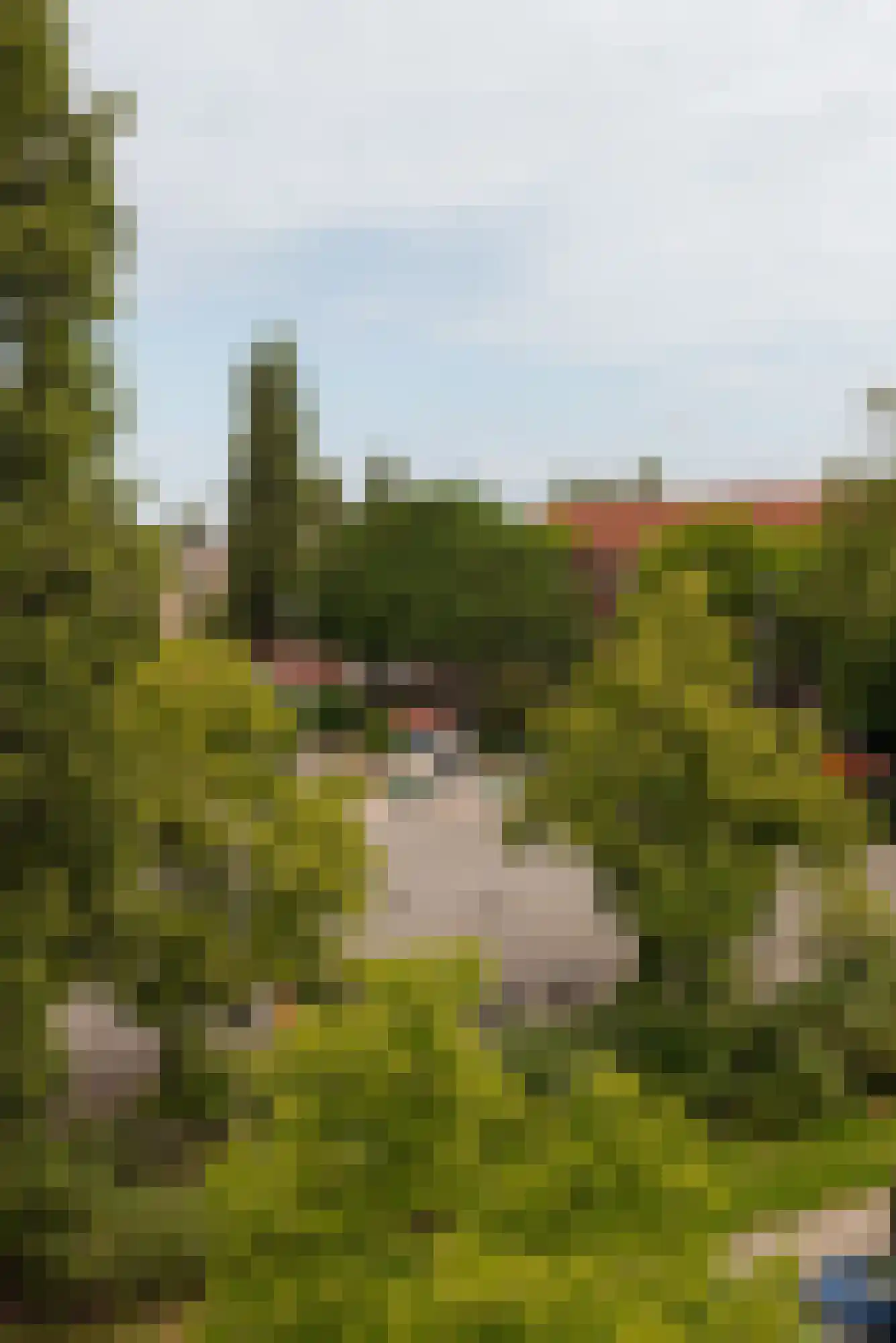 Vechtstraat 81 3 Amsterdam thumbnail 26
