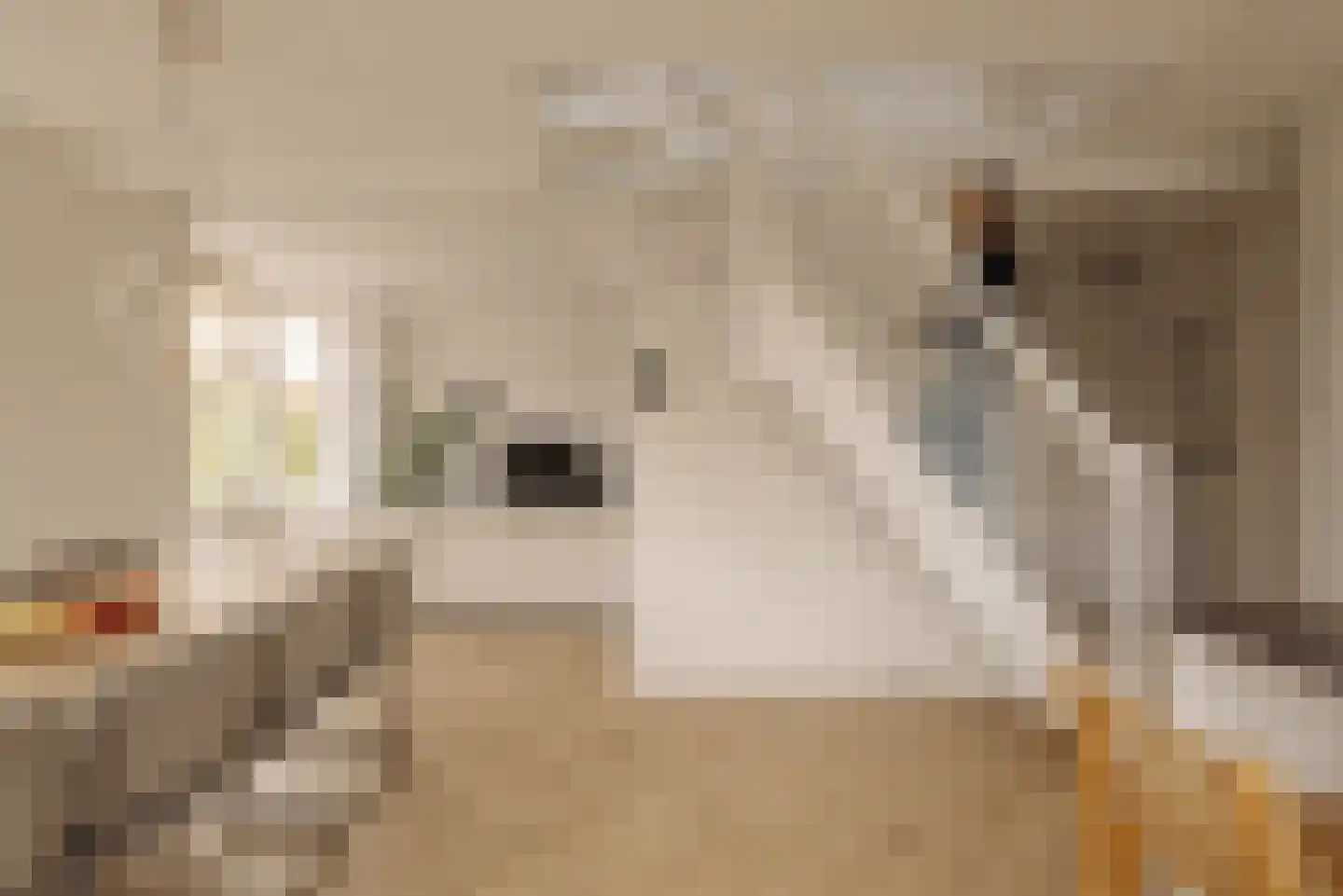 Vechtstraat 81 3 Amsterdam thumbnail 4