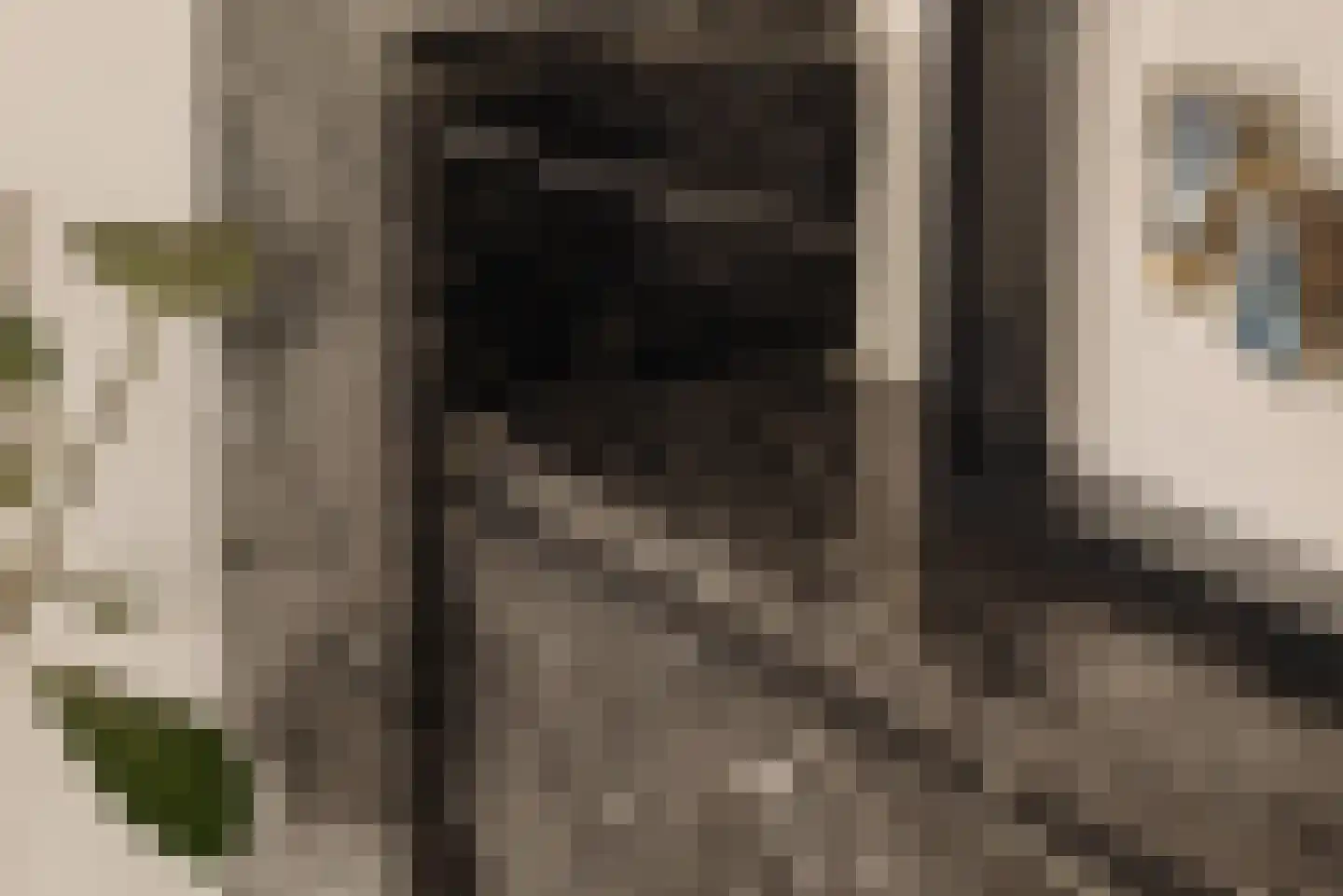 Vechtstraat 81 3 Amsterdam thumbnail 8