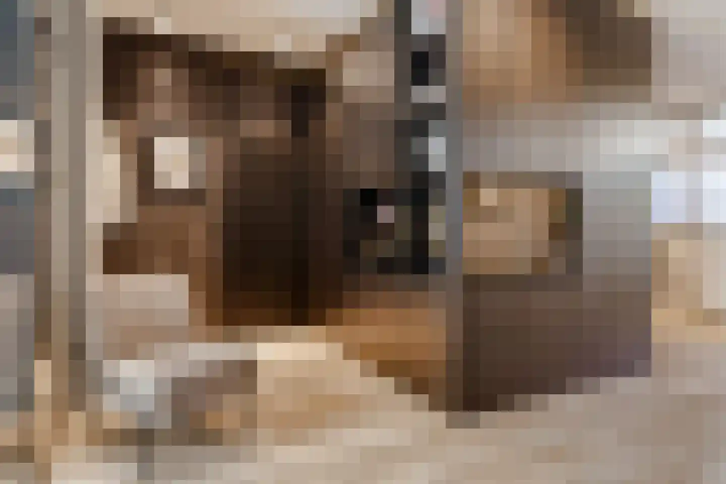Vechtstraat 83 1 Amsterdam thumbnail 21