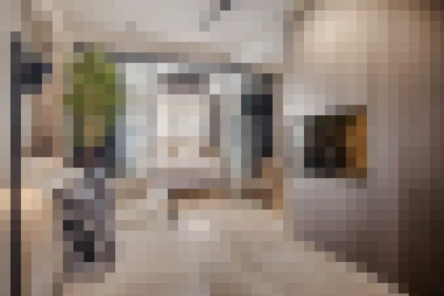Vechtstraat 83 1 Amsterdam thumbnail 4