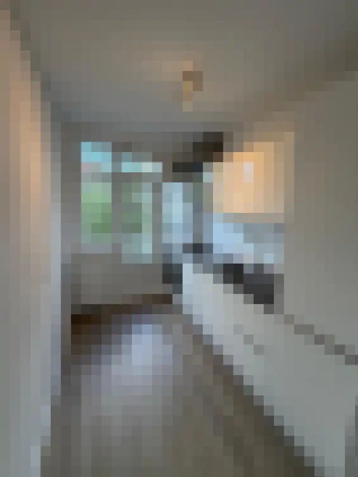 Vechtstraat 93 Amsterdam thumbnail 5
