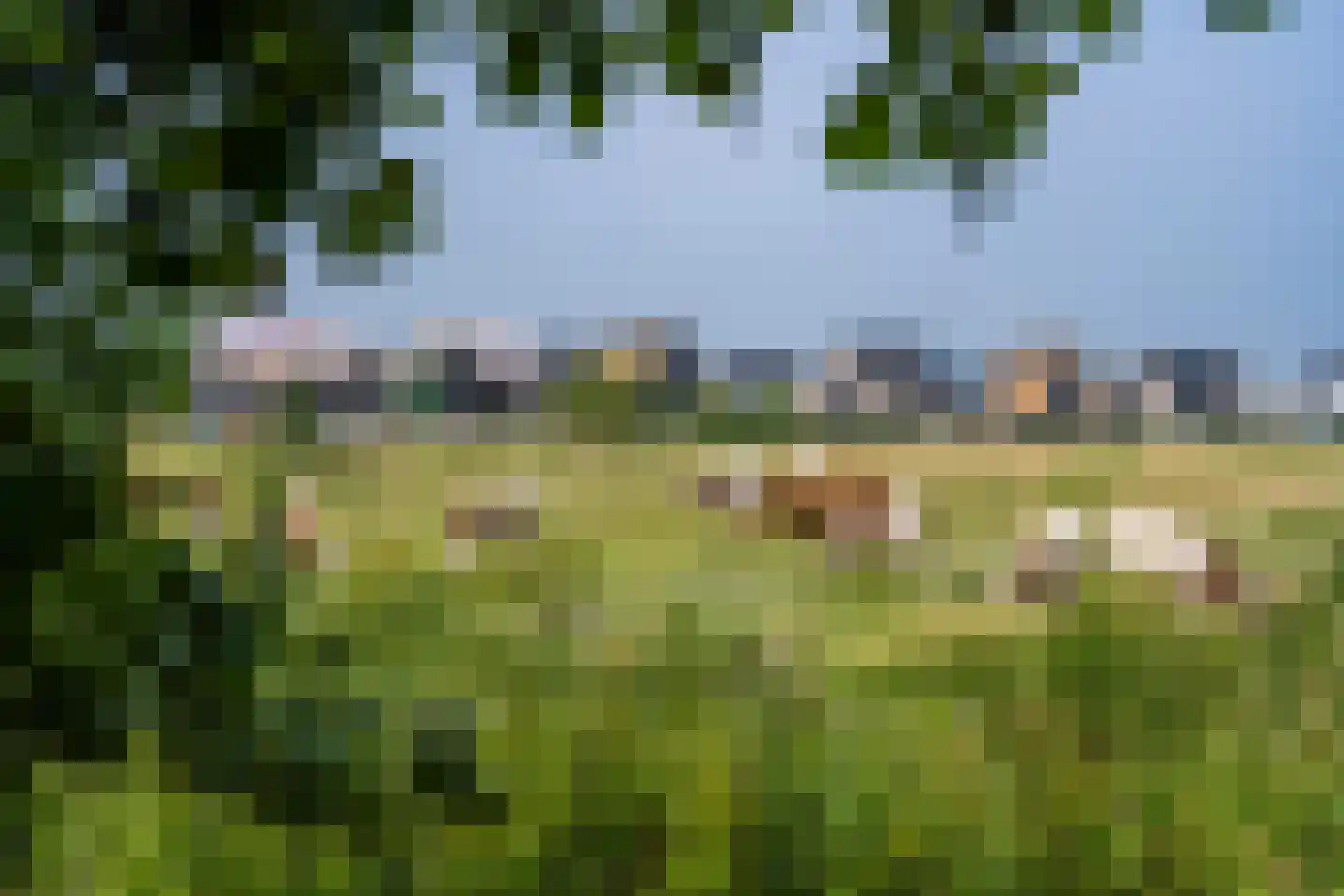 Vechtstroomlaan 121 Weesp thumbnail 11