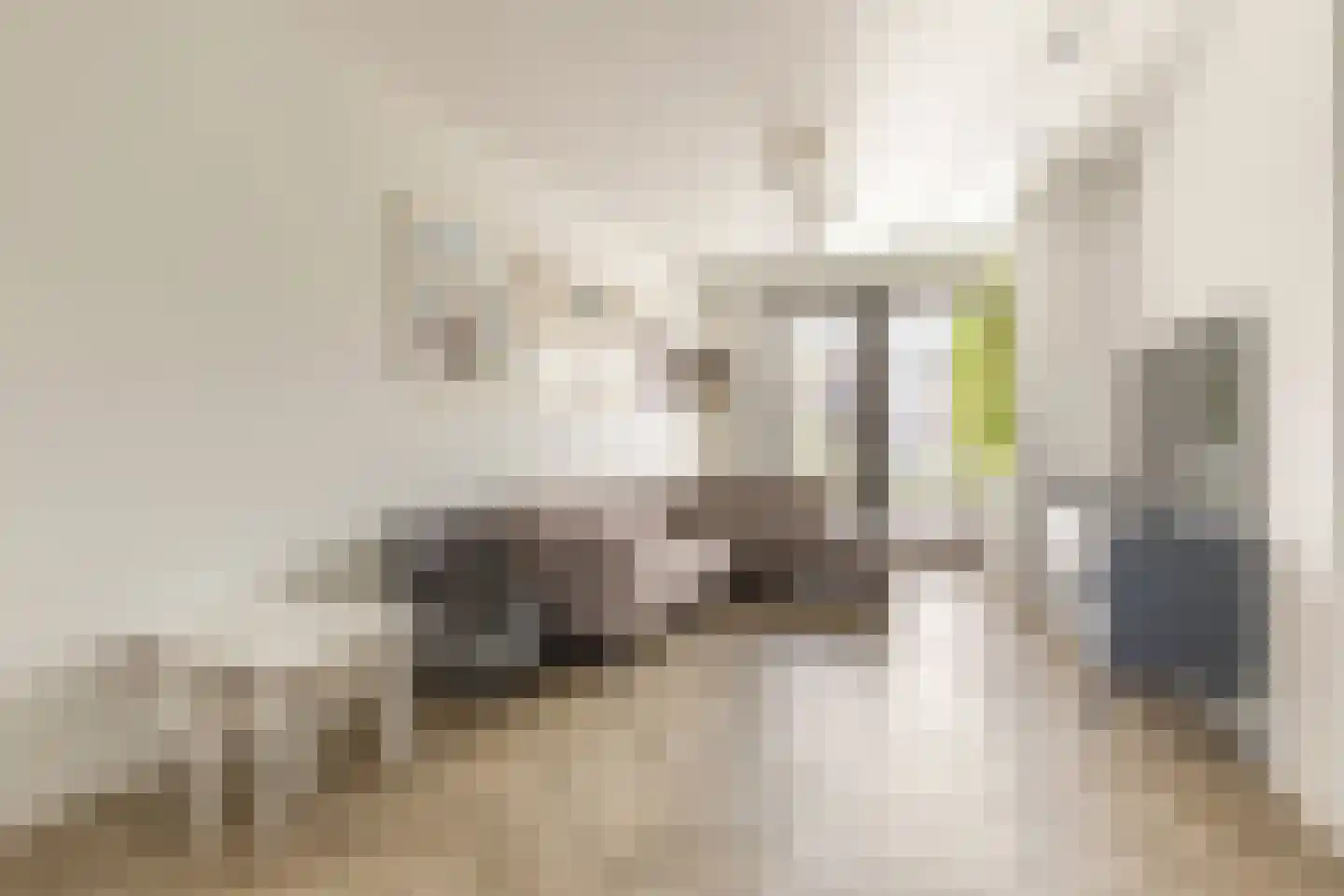 Vechtstroomlaan 16 Weesp thumbnail 4