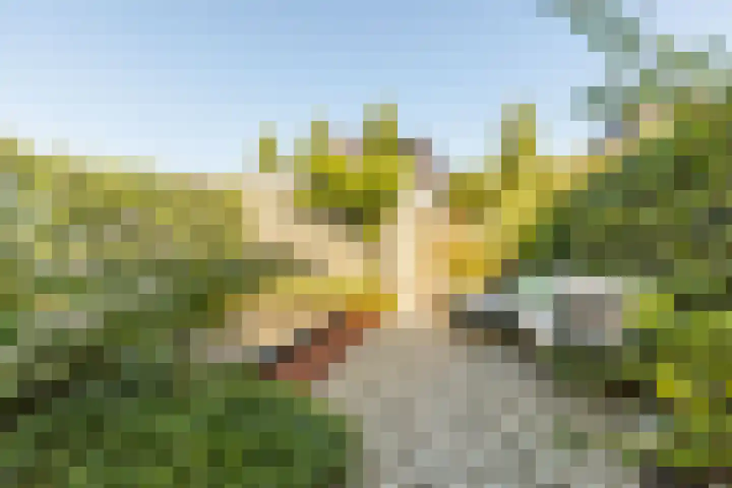 Vechtstroomlaan 32 Weesp thumbnail 17