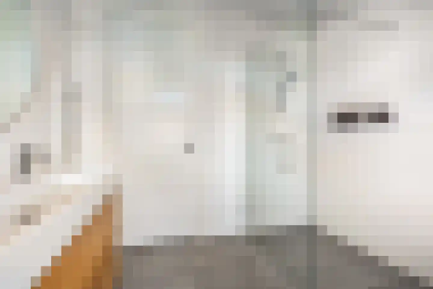 Vechtstroomlaan 32 Weesp thumbnail 30