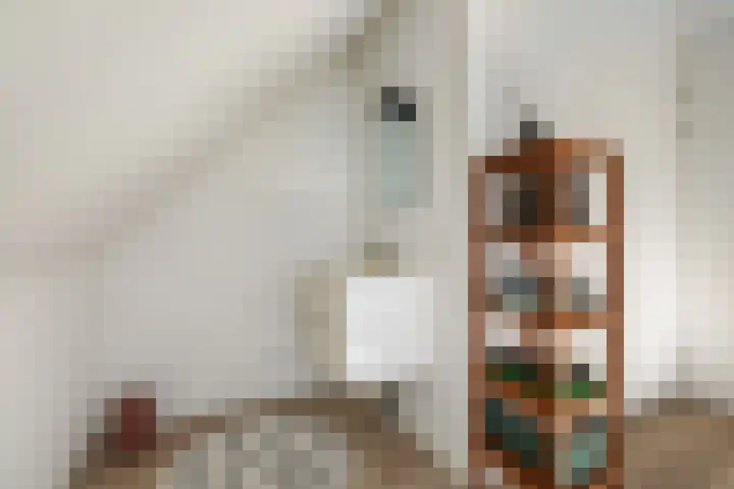 Vechtstroomlaan 32 Weesp thumbnail 34