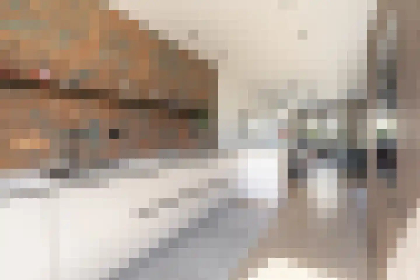Vechtstroomlaan 8 Weesp thumbnail 4