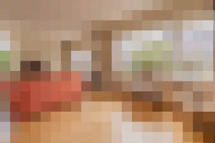 Vechtvliet 4 Dalfsen thumbnail 10