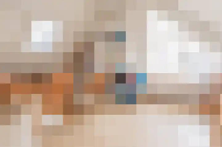 Vechtvliet 4 Dalfsen thumbnail 30
