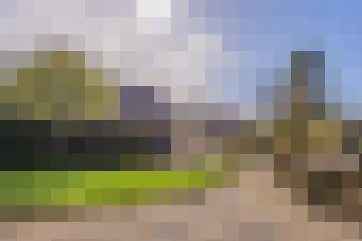 Vechtvliet 4 Dalfsen thumbnail 34