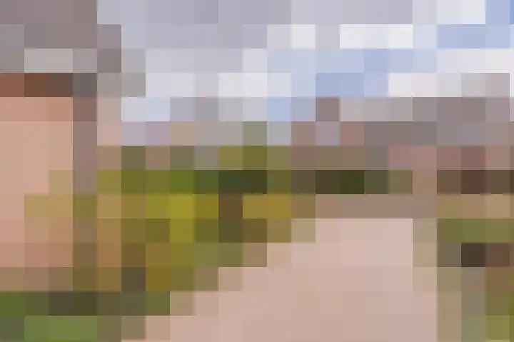 Vechtvliet 4 Dalfsen thumbnail 36